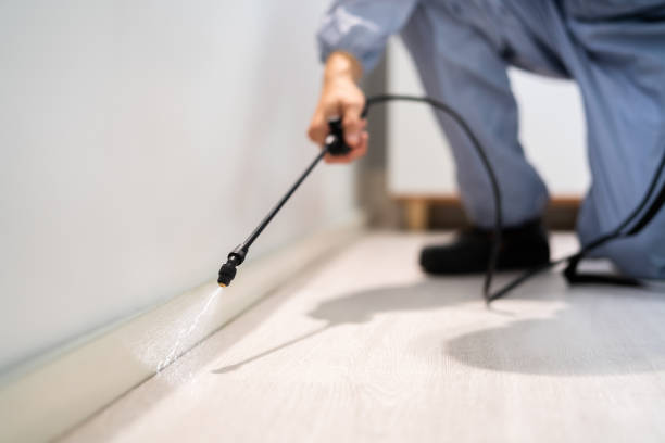 Professional exterminator conducting IPM assessment in Hiram